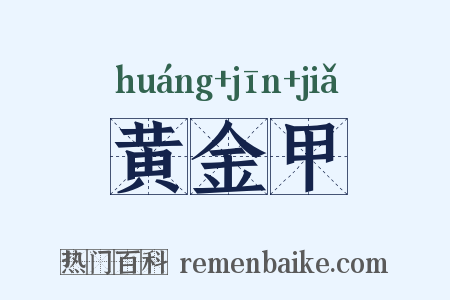黄金甲是什么意思的图片